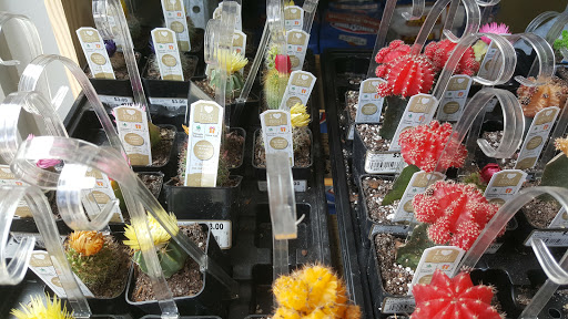 Department Store «Walmart Supercenter», reviews and photos, 7400 Guilford Dr, Frederick, MD 21704, USA