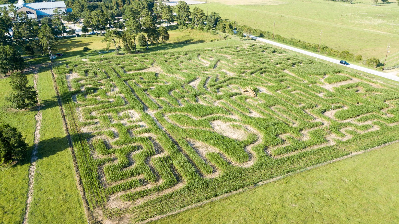 Tomball Corn Maze