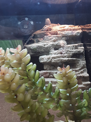 Pet Supply Store «PetSmart», reviews and photos, 5241 Monroe St, Toledo, OH 43623, USA