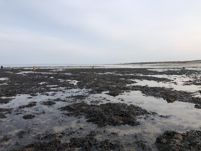 Marée basse LUC SUR MER à Luc-sur-Mer