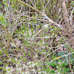 Photo n°14 de l'avis de Lothar.i fait le 17/04/2024 à 13:12 sur le  Panorama Hotel Winterberg à Winterberg