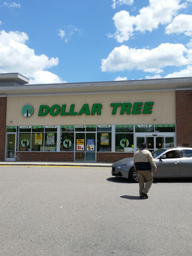 Dollar Store «Dollar Tree», reviews and photos, 1230 VFW Pkwy, West Roxbury, MA 02132, USA