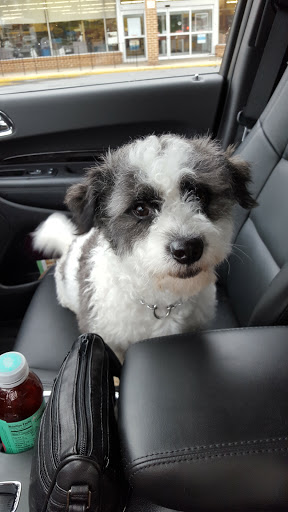 Pet Supply Store «Petco Animal Supplies», reviews and photos, 1275 W Patrick St, Frederick, MD 21702, USA