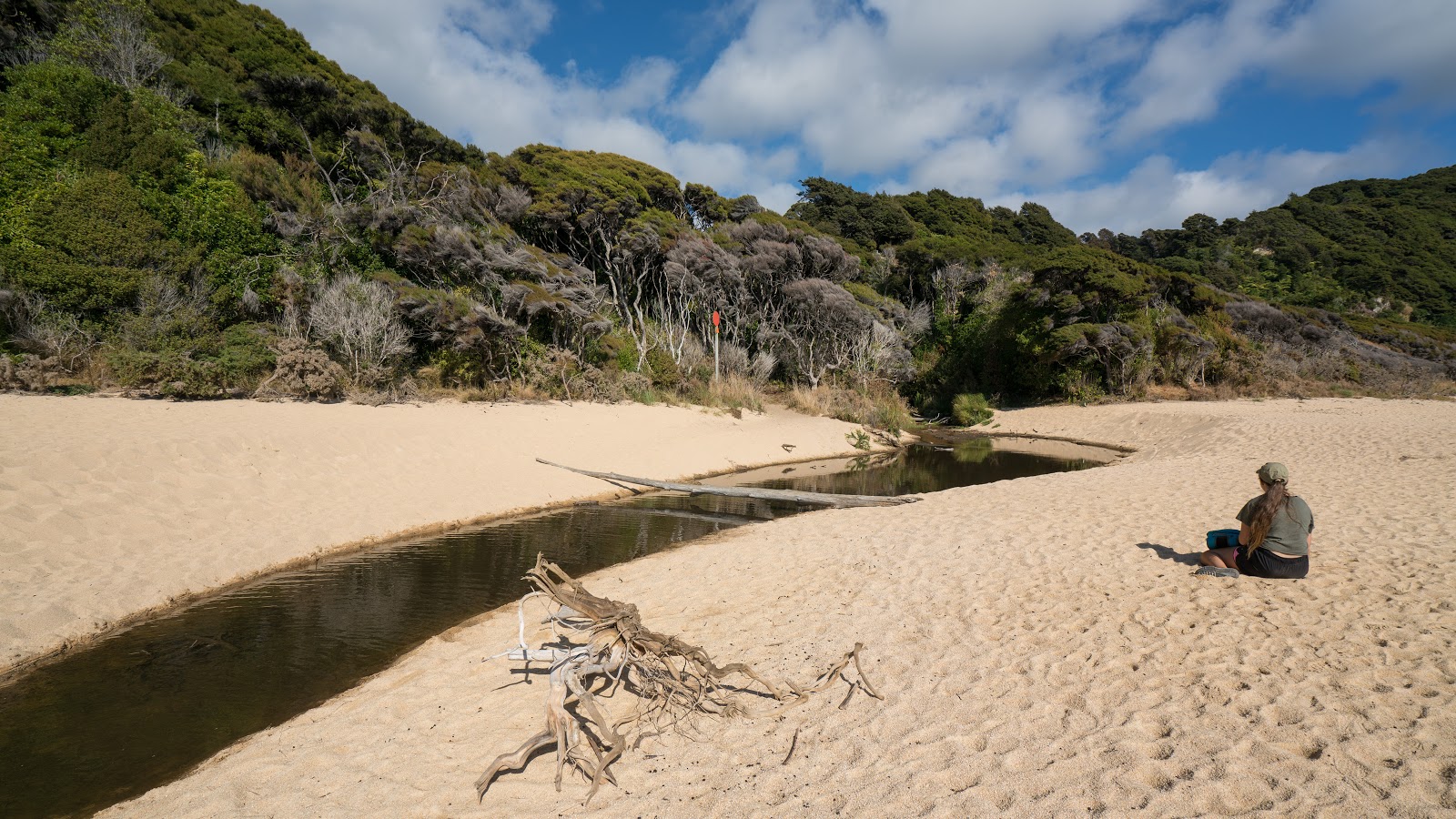 Foto av Anapai Beach omgiven av berg