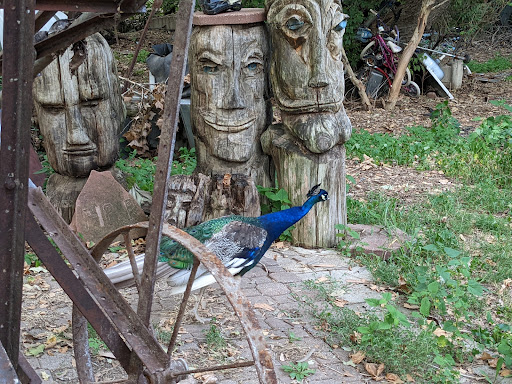 Fish Farm «The Lessman Farm & Truckhenge», reviews and photos, 4124 NE Brier Rd, Topeka, KS 66616, USA