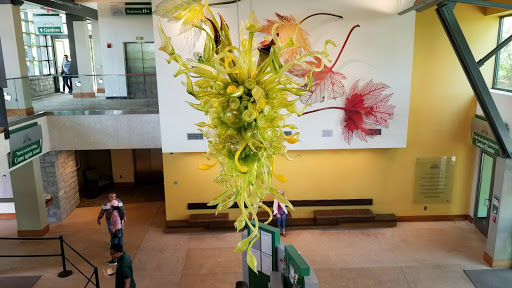 Botanical Garden «Atlanta Botanical Garden», reviews and photos, 1345 Piedmont Ave NE, Atlanta, GA 30309, USA