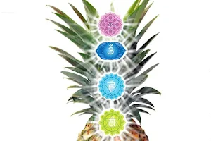 The Divine Pineapple: Therapeutic and Wellness Center image