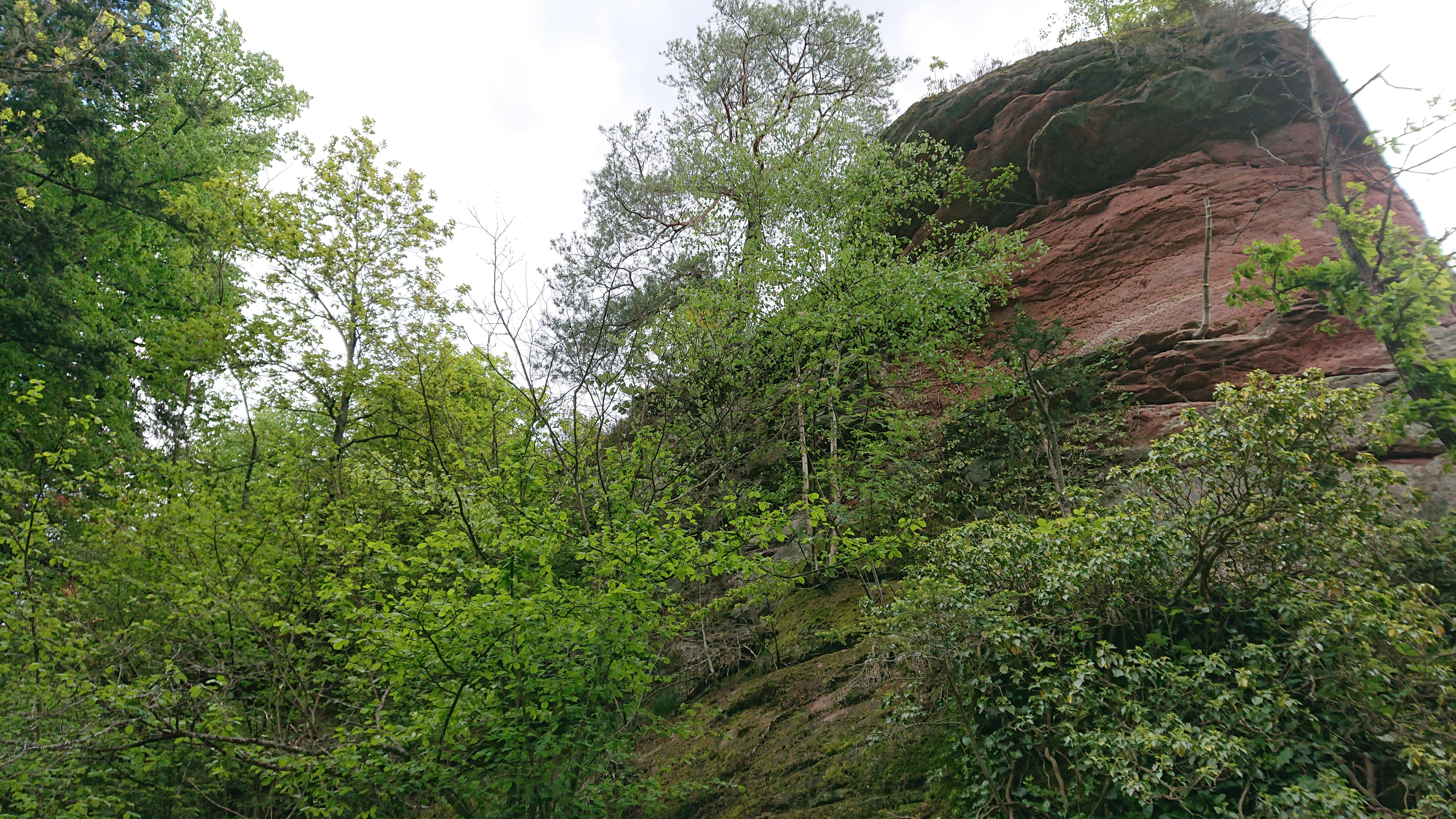 Photo n° 3 de l'avis de Hubert.e fait le 04/05/2019 à 14:17