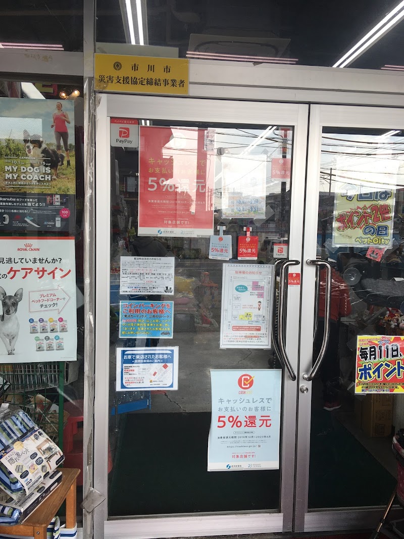 ペットcity 千葉県市川市富浜 ペットショップ ペット グルコミ