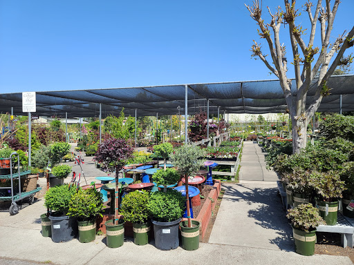 Plant shops in San Jose