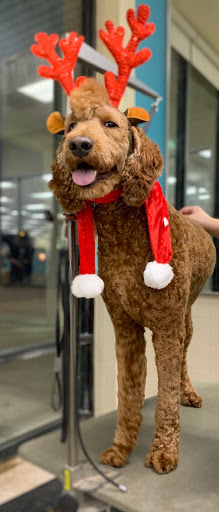 Pet Supply Store «Petco Animal Supplies», reviews and photos, 597 Hebron Rd #2, Heath, OH 43056, USA