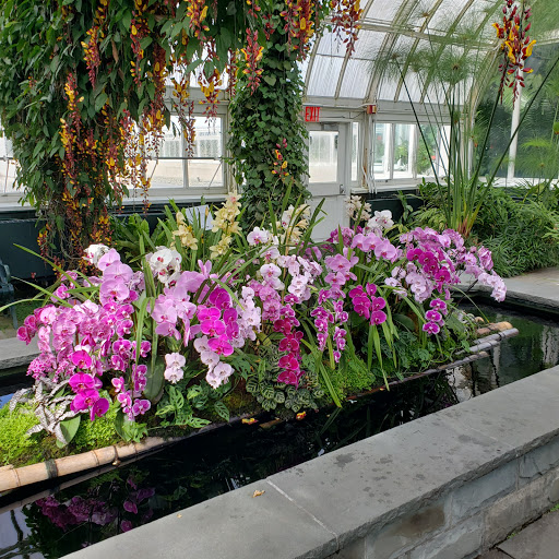 Gift Shop «NYBG Shop», reviews and photos, 2900 Southern Blvd, Bronx, NY 10458, USA