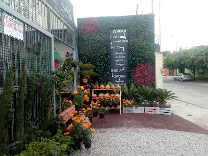 Jardín - Jardín Boutique vegetal