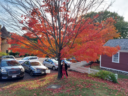 Park «Larz Anderson Park», reviews and photos, 325 Goddard Ave, Brookline, MA 02445, USA