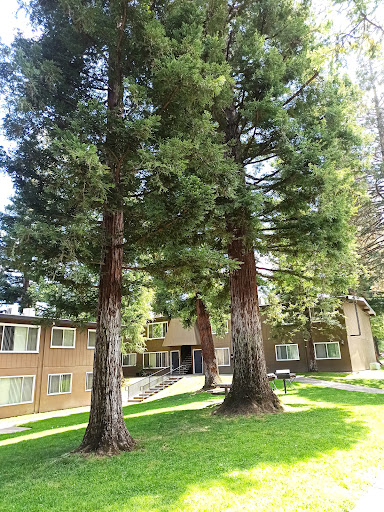 Crunch Fitness - Citrus Heights image