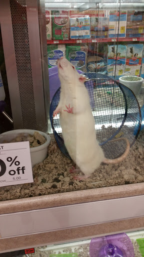 Pet Supply Store «Petco Animal Supplies», reviews and photos, 1951 N Military Trl c, West Palm Beach, FL 33409, USA