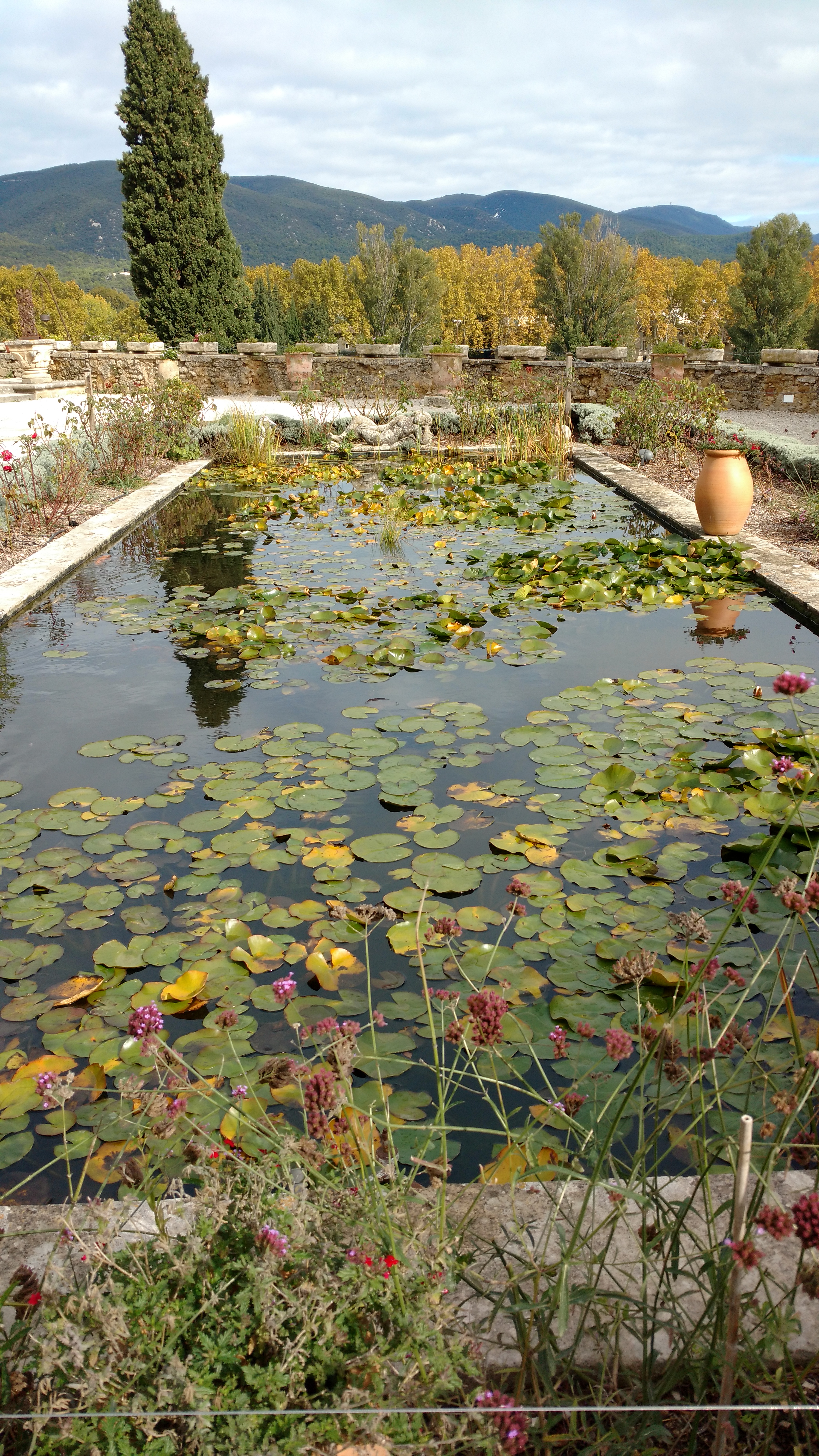 Photo n° 5 de l'avis de nabou.f fait le 30/10/2018 à 13:43