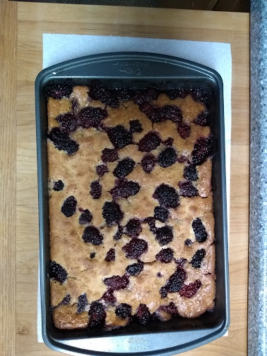 Grocery Store «Grocery Outlet Bargain Market», reviews and photos, 15705 SW 116th Ave, King City, OR 97224, USA