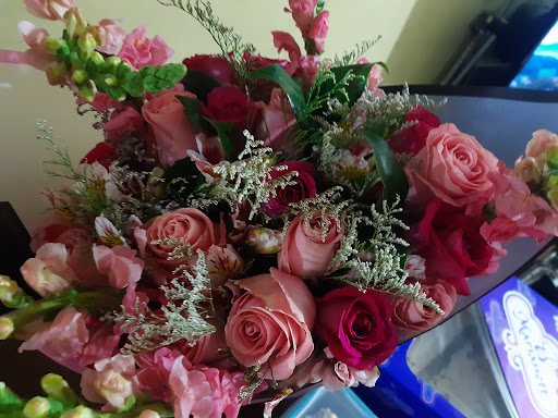 Jairo Floristería – Aguascalientes