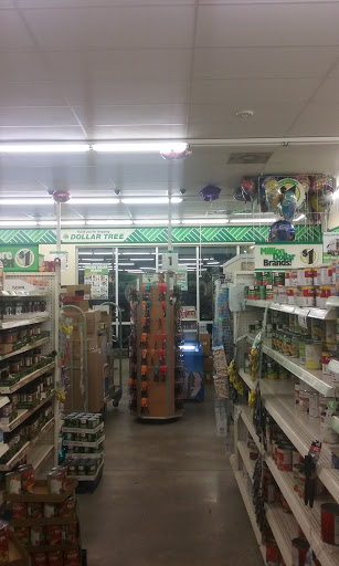 Dollar Store «Dollar Tree», reviews and photos, 2701 Clearlake Rd a, Cocoa, FL 32922, USA