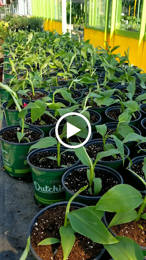 Florist «Dutch & Olgas Greenhouse», reviews and photos, 1285 NJ-36, Hazlet, NJ 07730, USA