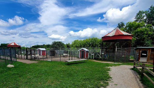 Zoo «Dutch Creek Farm Animal Park», reviews and photos, 6255 N 1000 W, Shipshewana, IN 46565, USA