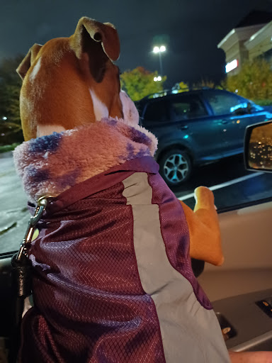 Mexican Restaurant «Chipotle Mexican Grill», reviews and photos, 11380 Parkside Dr, Knoxville, TN 37934, USA