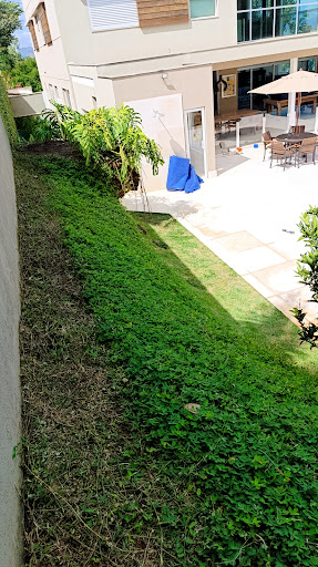 Logo da empresa - Jardinagem BD