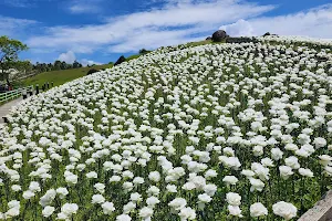 Lintaon 16,000 Blossoms image