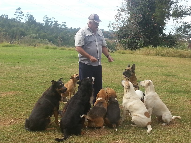 Dogtor Steve - Canine behaviour specialist