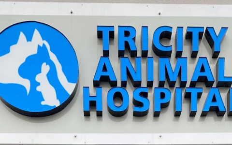 Tricity Animal Hospital image