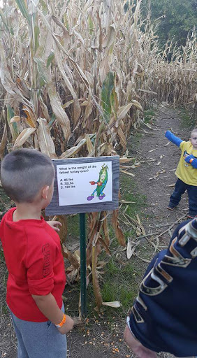 Christmas Tree Farm «Piney Acres», reviews and photos, 1115 E 1000 N, Fortville, IN 46040, USA