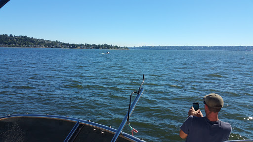 Park «Browns Point Light House Park», reviews and photos, 201 Tulalip St NE, Tacoma, WA 98422, USA