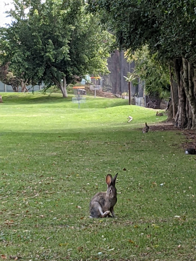 Golf Course «Weddington Golf & Tennis», reviews and photos, 4141 Whitsett Ave, Studio City, CA 91604, USA