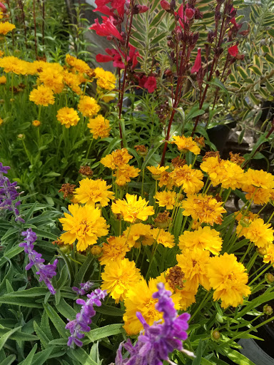 Glendora Gardens Nursery image