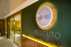 Instituto Cavallaro image