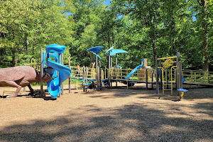 Dinosaur Playground Washington Park