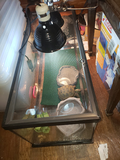 Pet Supply Store «Petsense Middlesboro», reviews and photos, 1875 N 25th St, Middlesboro, KY 40965, USA