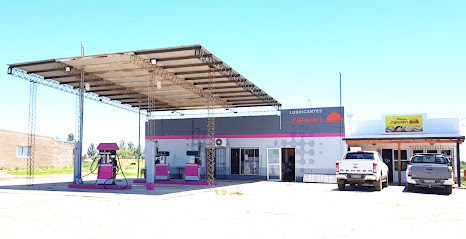 Newen Estación de Servicios Telén La Pampa