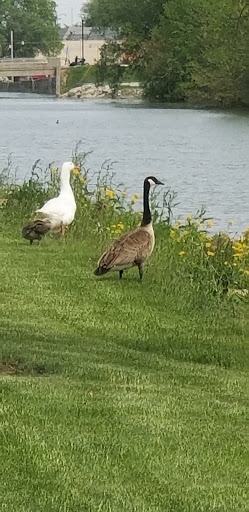 Water Park «Wapakoneta WaterPark», reviews and photos, 106 Hamilton Rd, Wapakoneta, OH 45895, USA