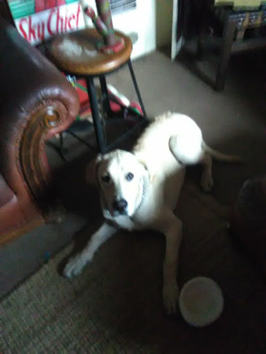 Automotive «Top Dead Center Motorcycles», reviews and photos, 1540 Pine St, Oxnard, CA 93030, USA