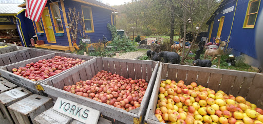 Gift Shop «Beech Spring Gift Shop», reviews and photos, 11600 Lee Hwy, Sperryville, VA 22740, USA