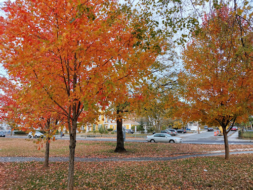 Park «Campagnone Common», reviews and photos, 200 Common St, Lawrence, MA 01840, USA