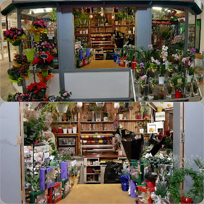 Thorigny fleurs à Évry-Courcouronnes