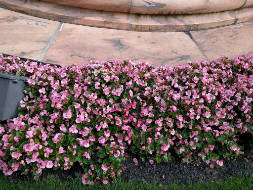 Banquet Hall «Hall of Springs», reviews and photos, 108 Avenue of the Pines, Saratoga Springs, NY 12866, USA