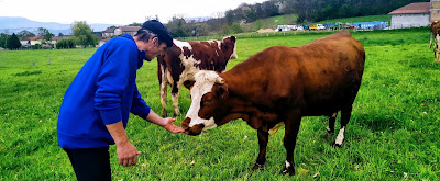 La ferme des Jallinières à Saint-Ondras