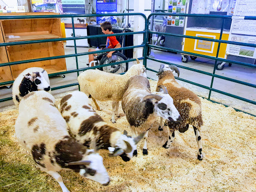 Fair «Colorado State Fair Rentals», reviews and photos, 1001 Beulah Ave, Pueblo, CO 81004, USA