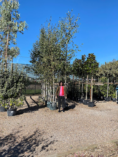 Frost Plant Centre Within Fosse Way Nurseries - Nottingham