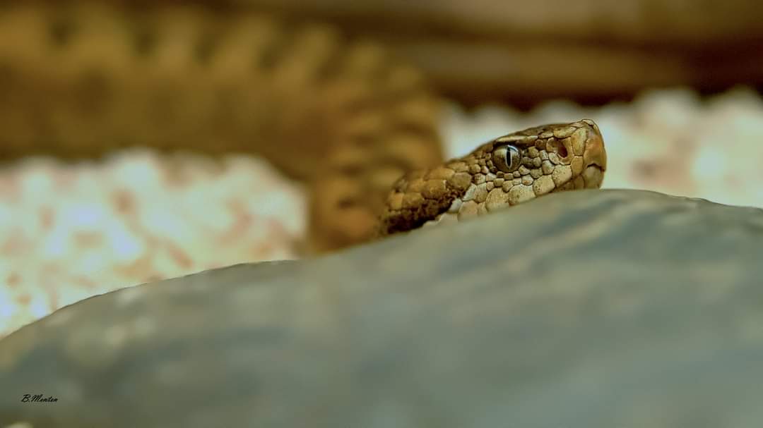 Photo n° 5 de l'avis de Bart.e fait le 19/08/2021 à 19:17