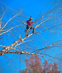 Ryan Lawn & Tree - Photo 8 - Car repair in Wichita, KS, Wichita